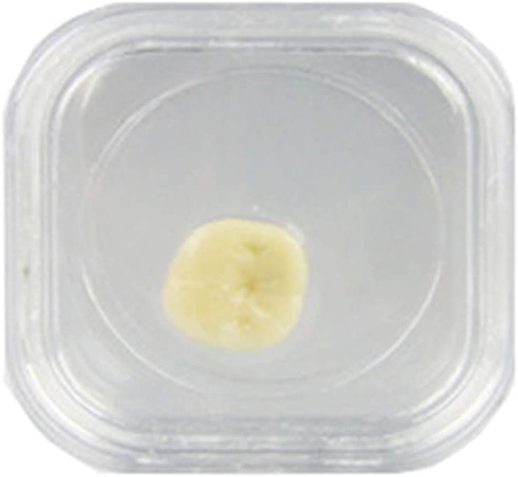 TJIRIS 2 Inch Clear Dental Crown Box Dental Membrane Box Retainer Case