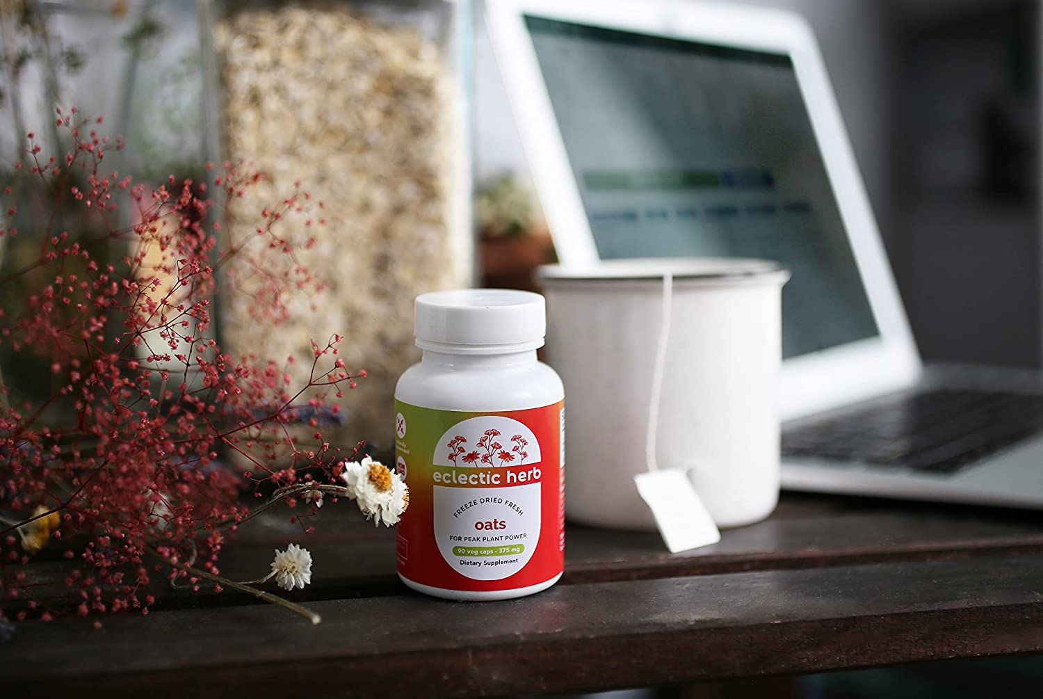 Eclectic Institute Raw Fresh Freeze-Dried Non-GMO Oats | 90 CT (375 mg)