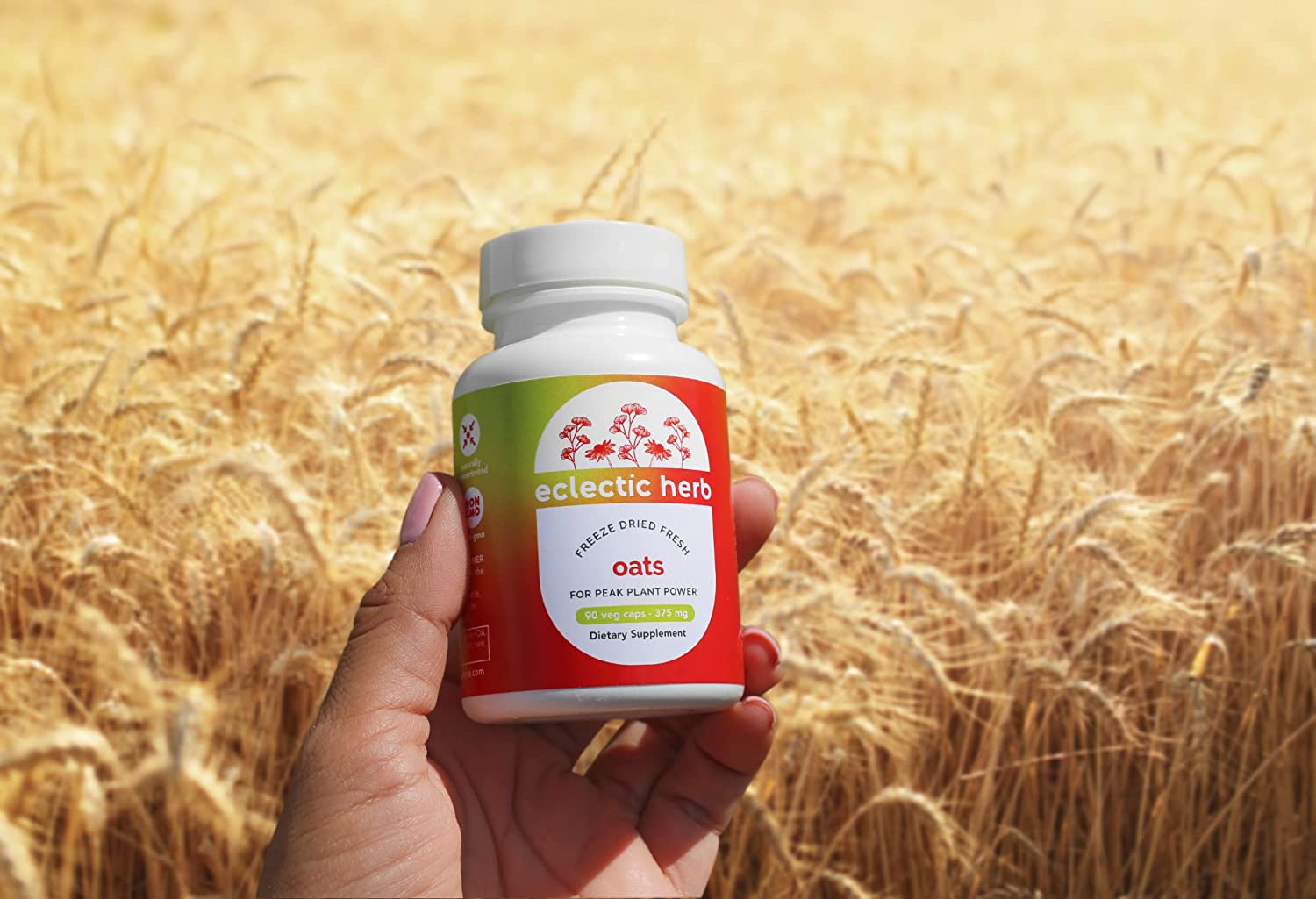 Eclectic Institute Raw Fresh Freeze-Dried Non-GMO Oats | 90 CT (375 mg)