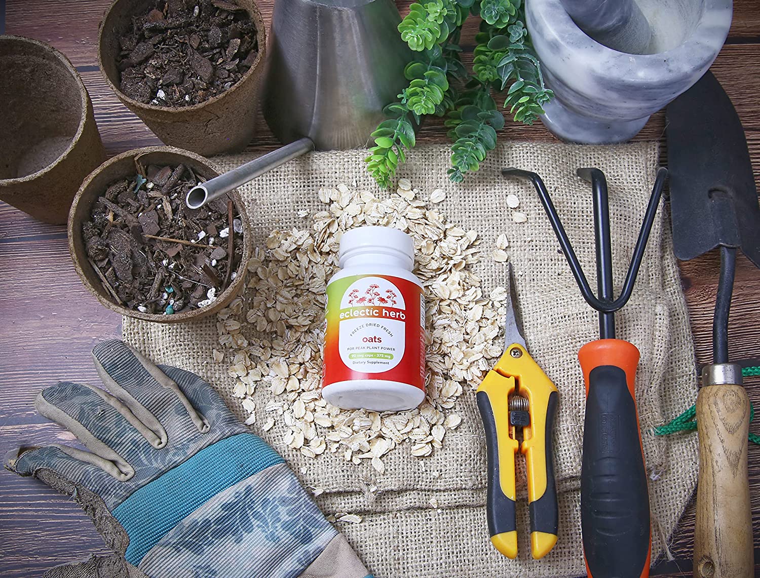 Eclectic Institute Raw Fresh Freeze-Dried Non-GMO Oats | 90 CT (375 mg)