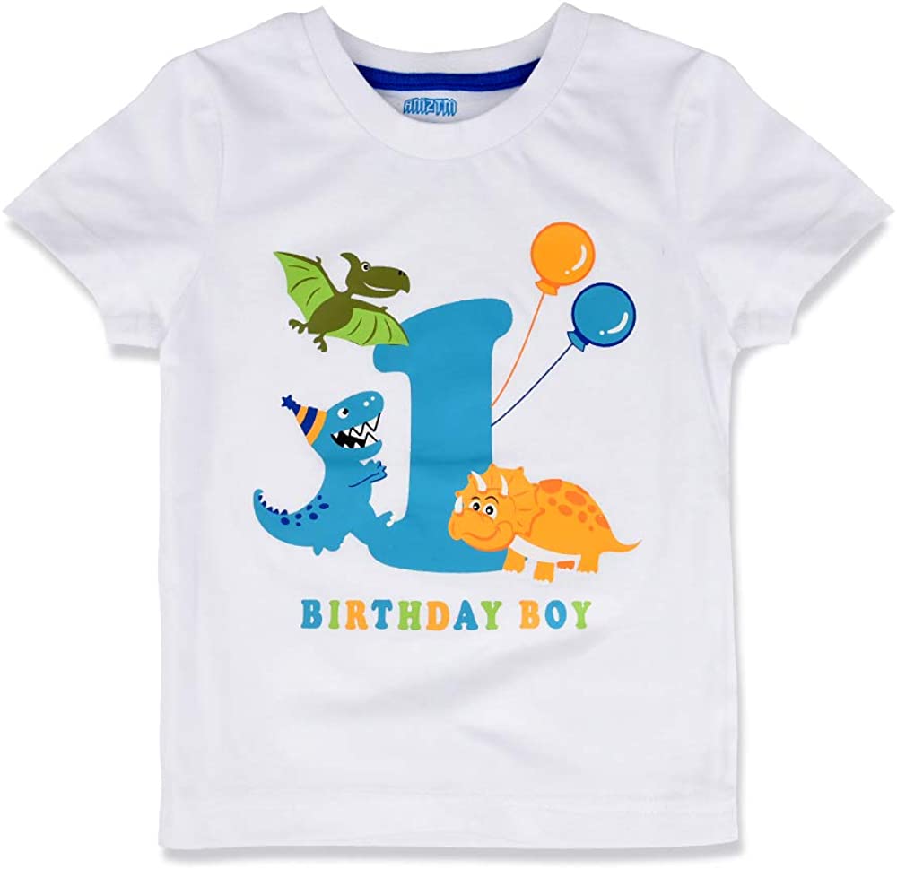 AMZTM 1st Birthday Party T Shirt - Dinosaur Birthday T-Shirt Tee