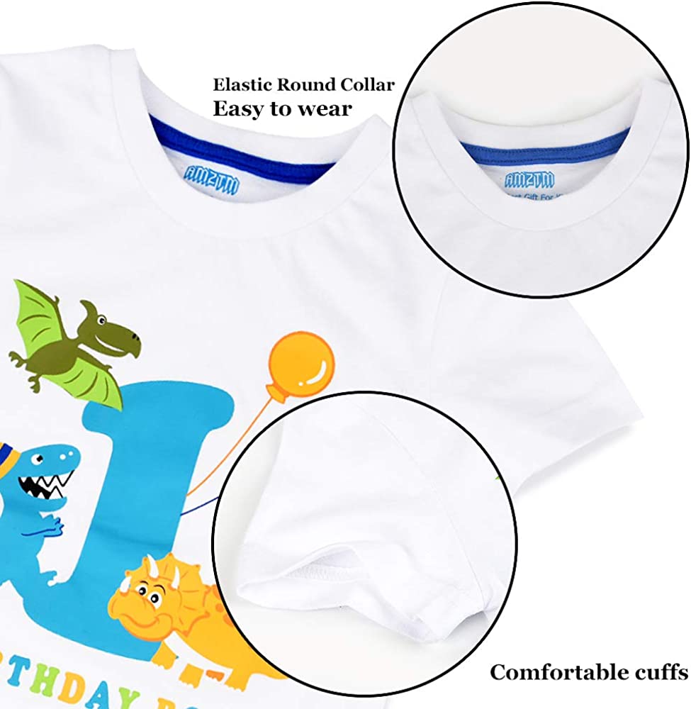 AMZTM 1st Birthday Party T Shirt - Dinosaur Birthday T-Shirt Tee