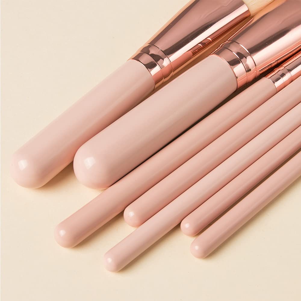 ORIGIN ENVY Makeup Brush Set Pink Blush Eyeshadow Concealer Lip Cosmetics Makeup For Beginner Powder