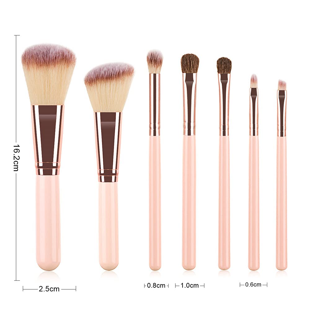ORIGIN ENVY Makeup Brush Set Pink Blush Eyeshadow Concealer Lip Cosmetics Makeup For Beginner Powder