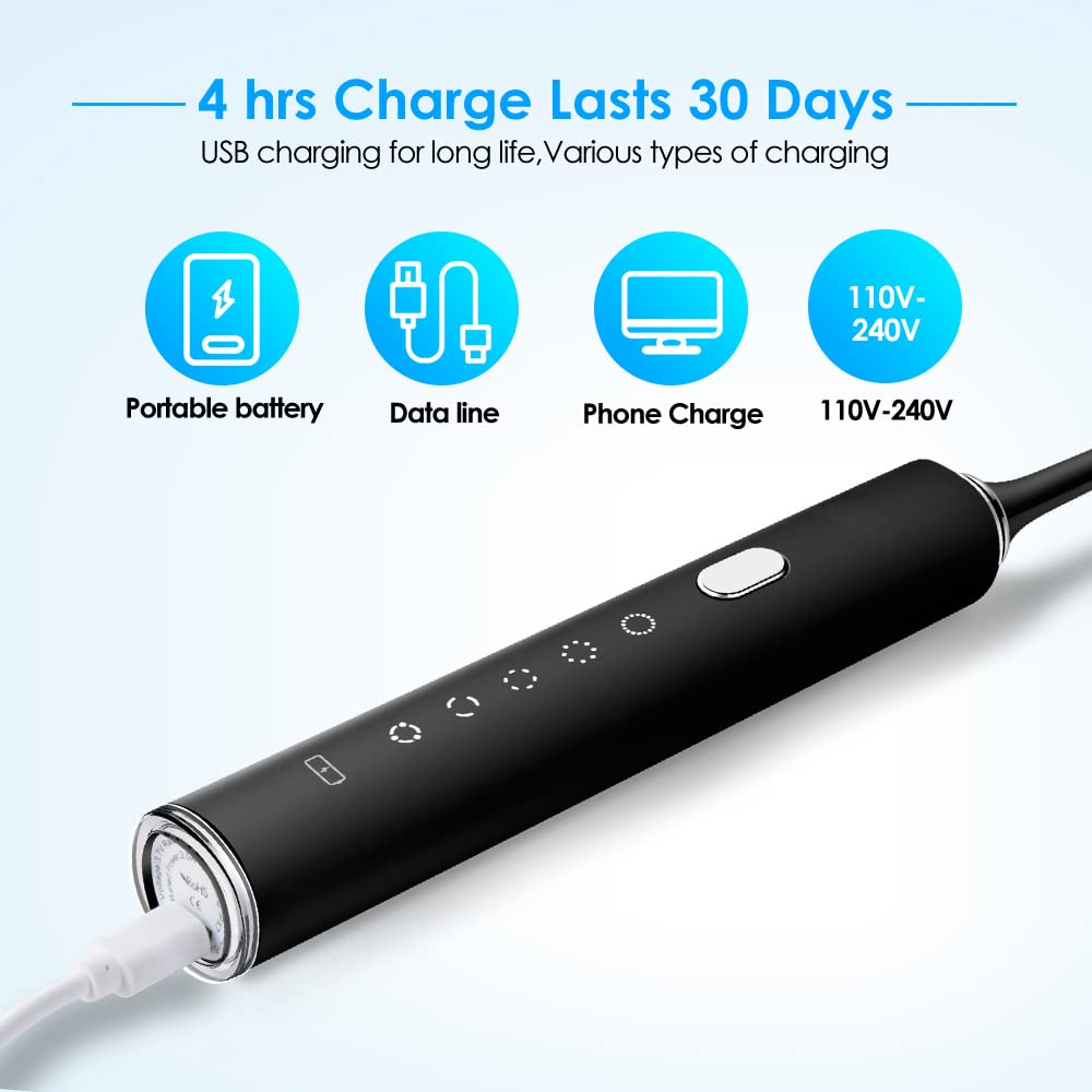 Sonic Electric Toothbrush Whitening Toothbrush Rechargeable with 4 Dupont Brush Heads, Adult Waterpr