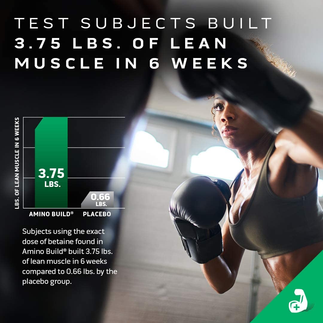 BCAA Amino Acids + Electrolyte Powder | MuscleTech Amino Build | 7g of BCAAs + Electrolytes | Suppor