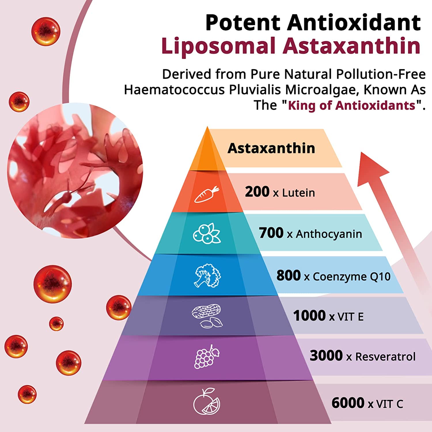 Astaxanthin 24mg, 90 Softgels Premium Astaxanthin Supplements for 1 Month Supply, Pure Haematococcus