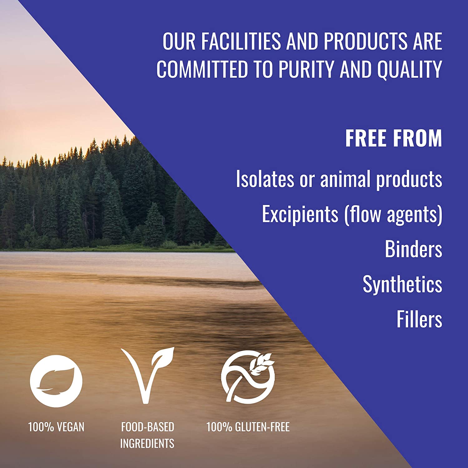 HealthForce SuperFoods Integrity Extracts Cordyceps - 90 VeganCaps - Endurance, Strength, Energy, Im