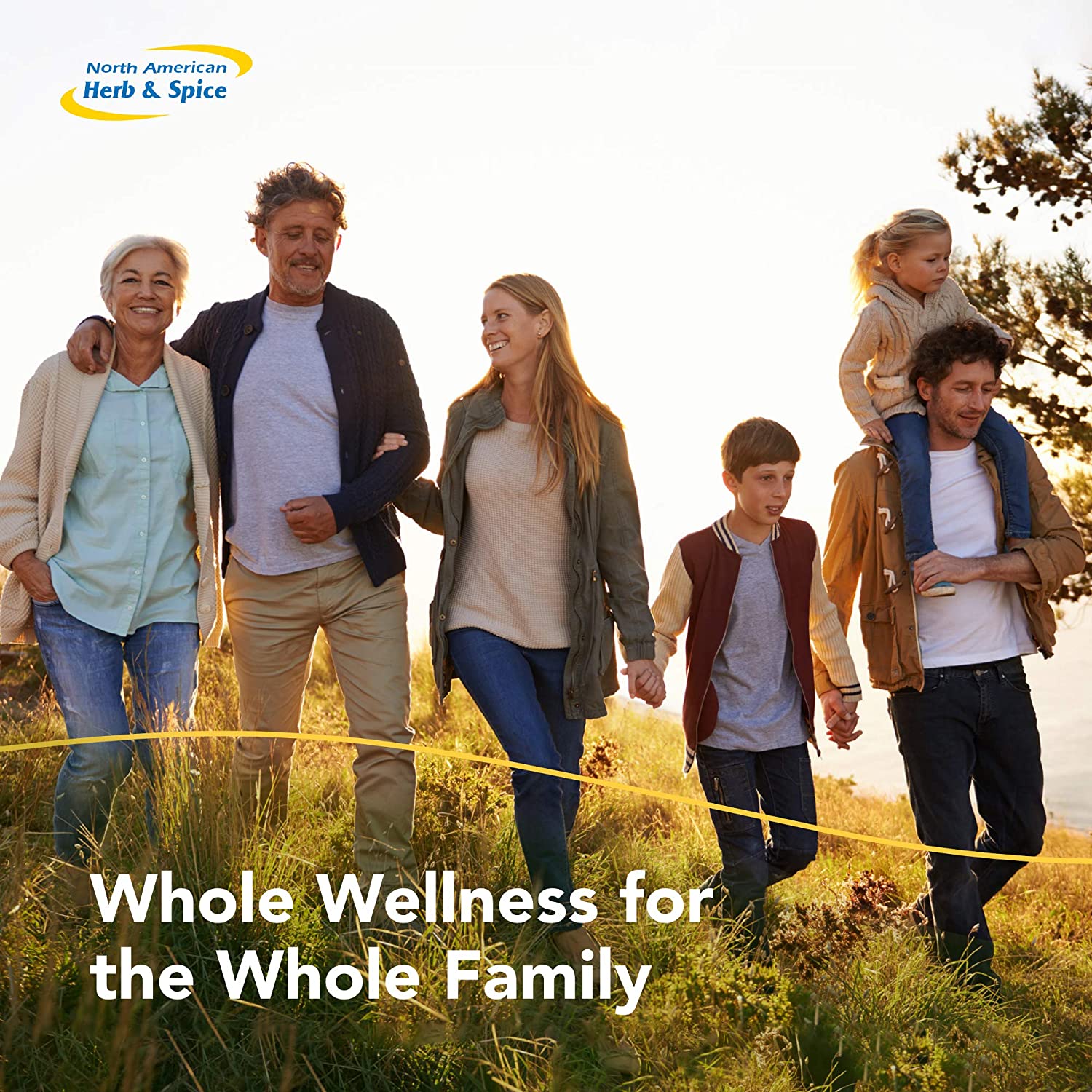 North American Herb & Spice Oreganol P73 (2 Pack) - 60 Softgels - Immune System Support - Unprocesse