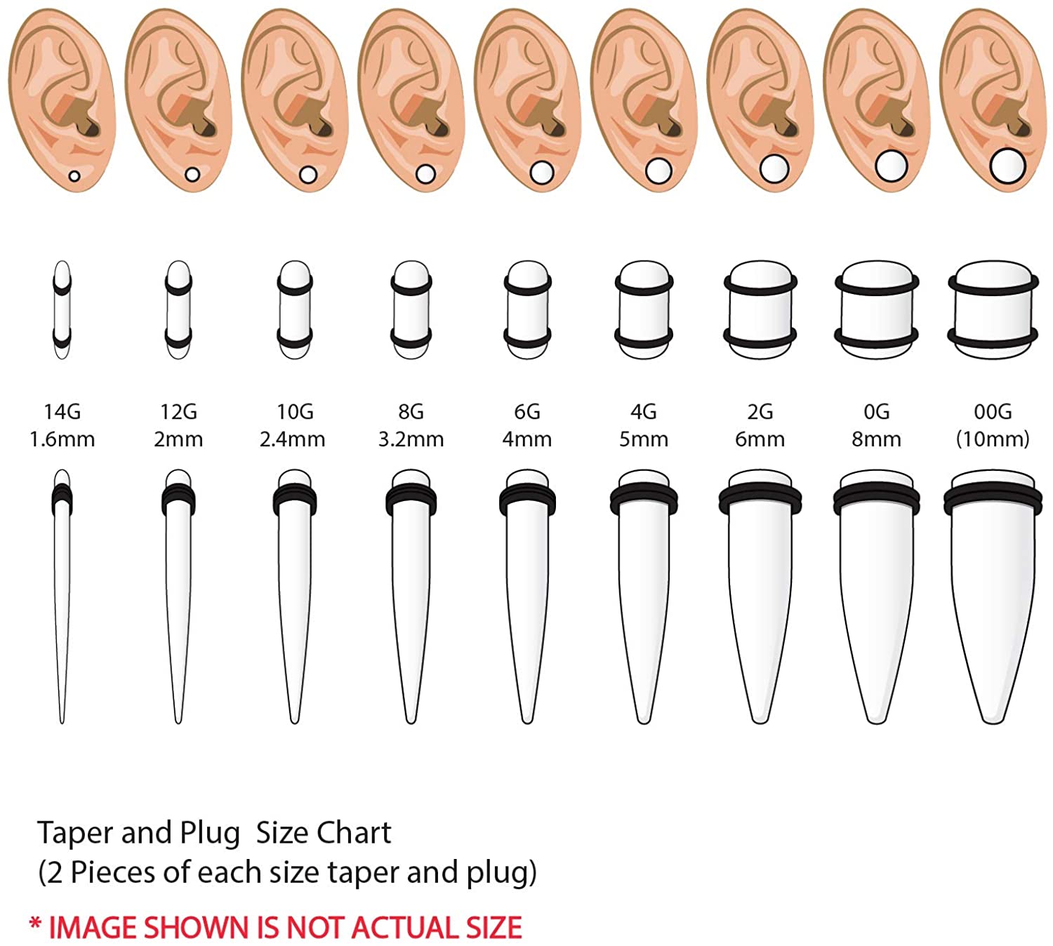 BodyJ4You 50PC Gauges Kit Ear Stretching Aftercare Jojoba Oil Wax 14G-12MM Tunnel Plug Taper Set