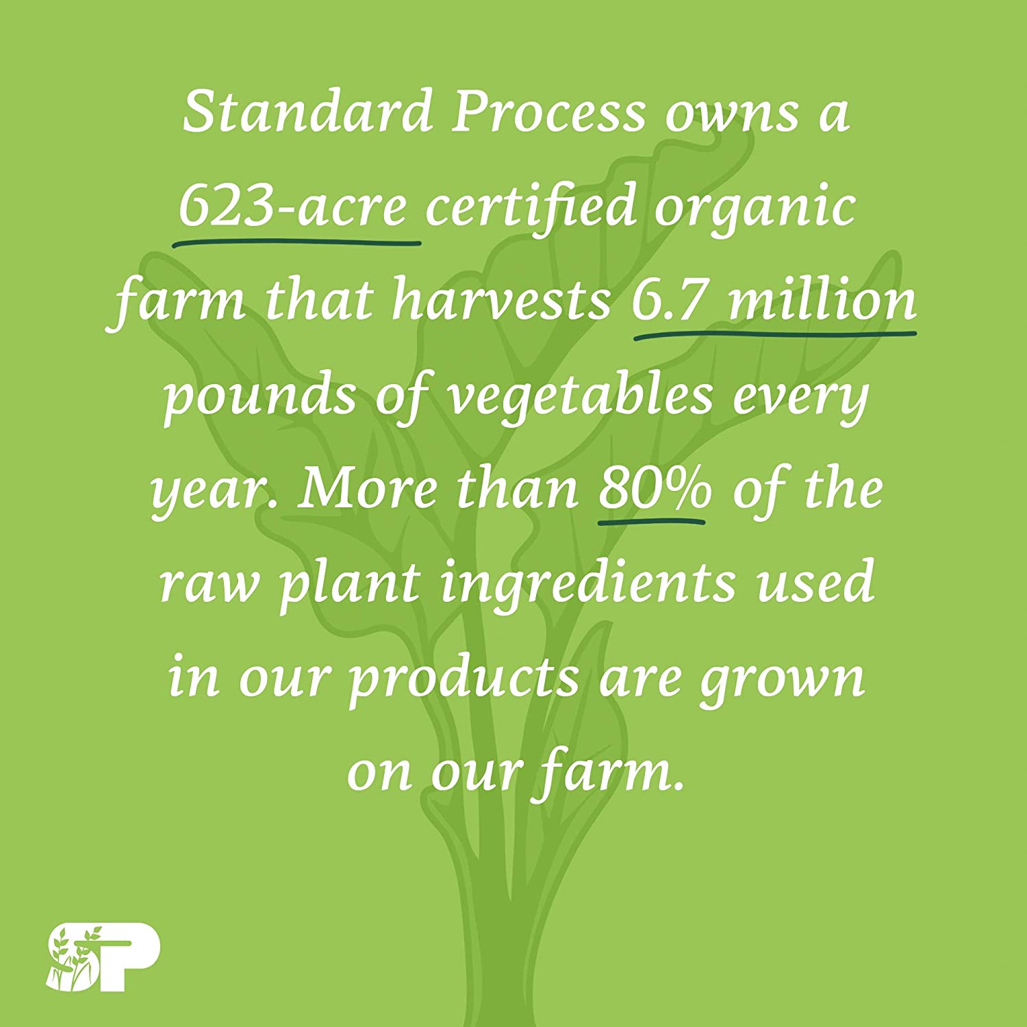 Standard Process Cataplex E2 - Whole Food Heart Health and Antioxidant with D-Alpha Tocopherol Vitam