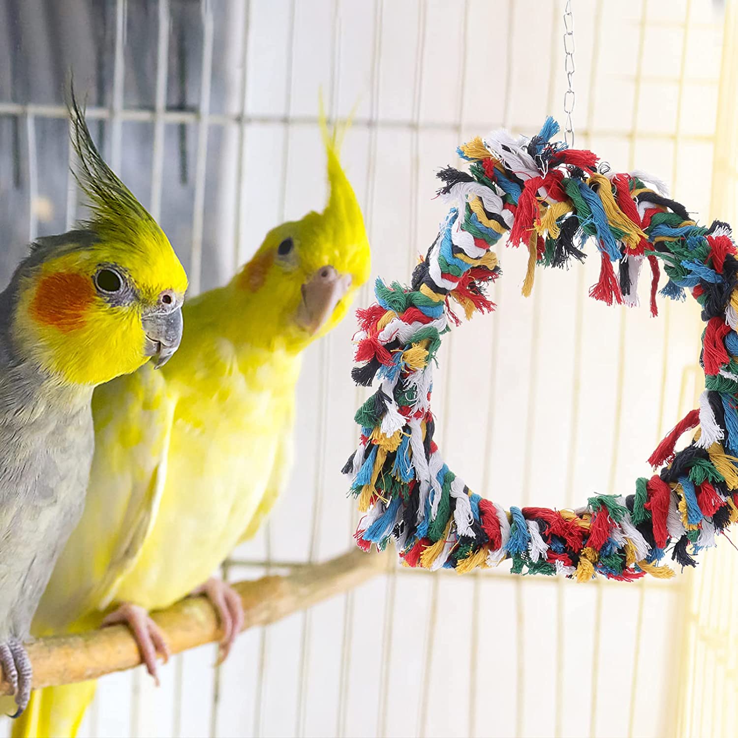 POPETPOP Bird Snuggle Ring-Parrot Cotton Preening Grooming Ropes Colorful Hanging Swing for Amazons 