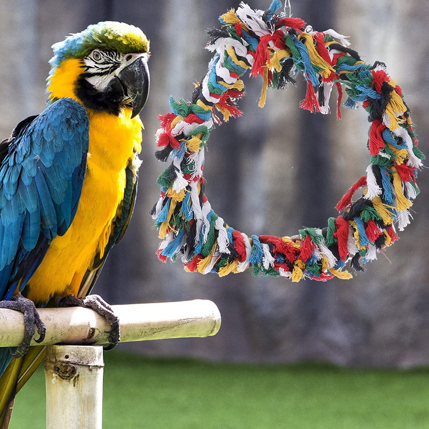 POPETPOP Bird Snuggle Ring-Parrot Cotton Preening Grooming Ropes Colorful Hanging Swing for Amazons 