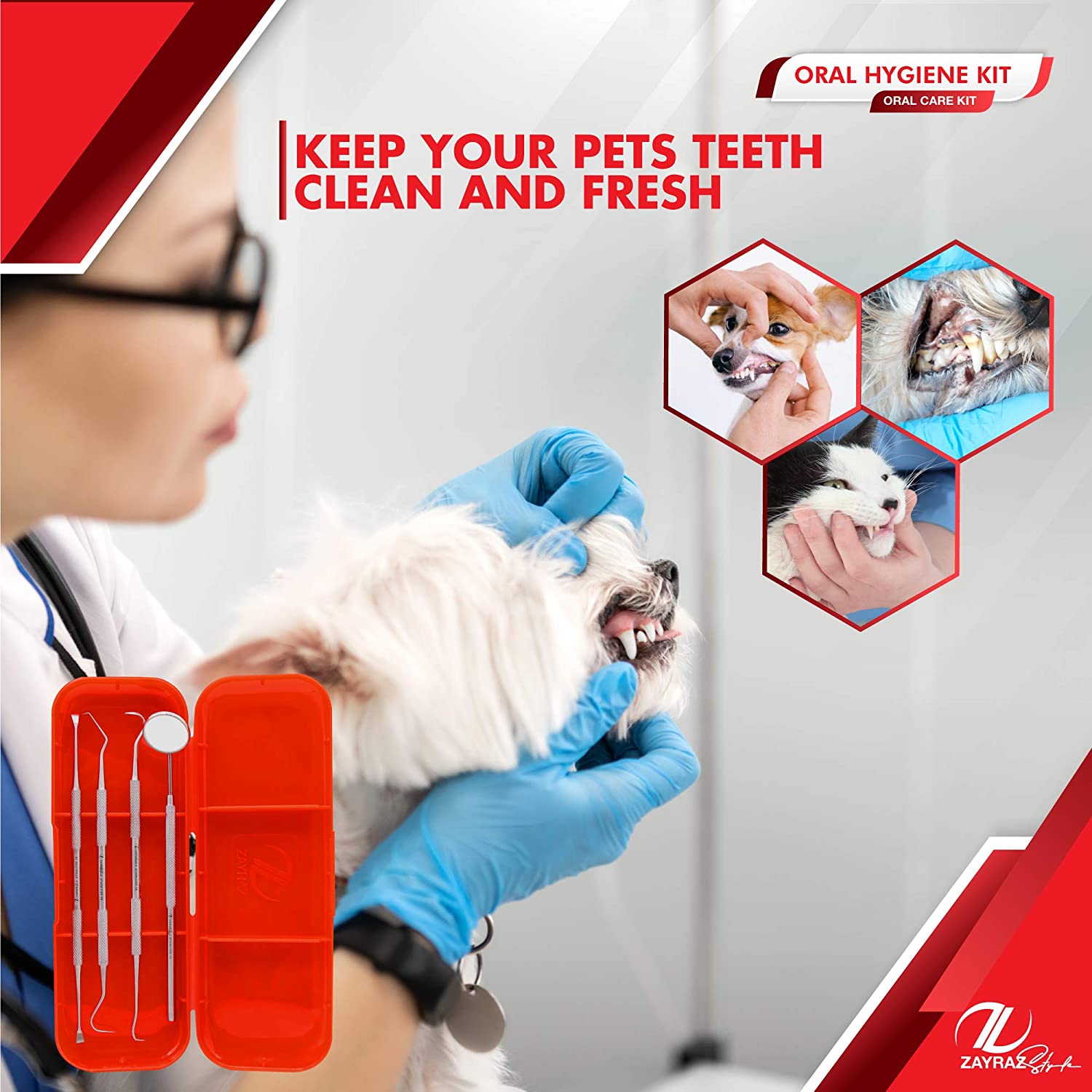 Zayraz Style Professional Dental Hygiene Kit- Calculus & Plaque Remover Set of 4 - Stainless Steel T