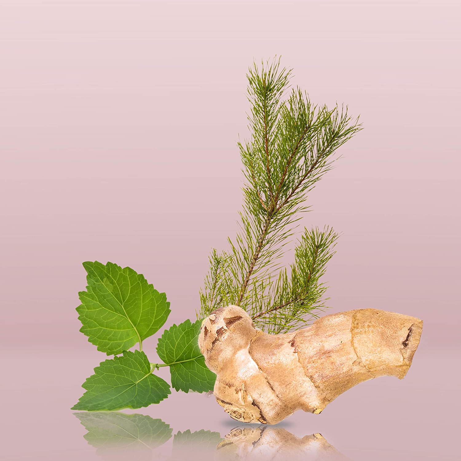 Calvin Klein euphoria for Men