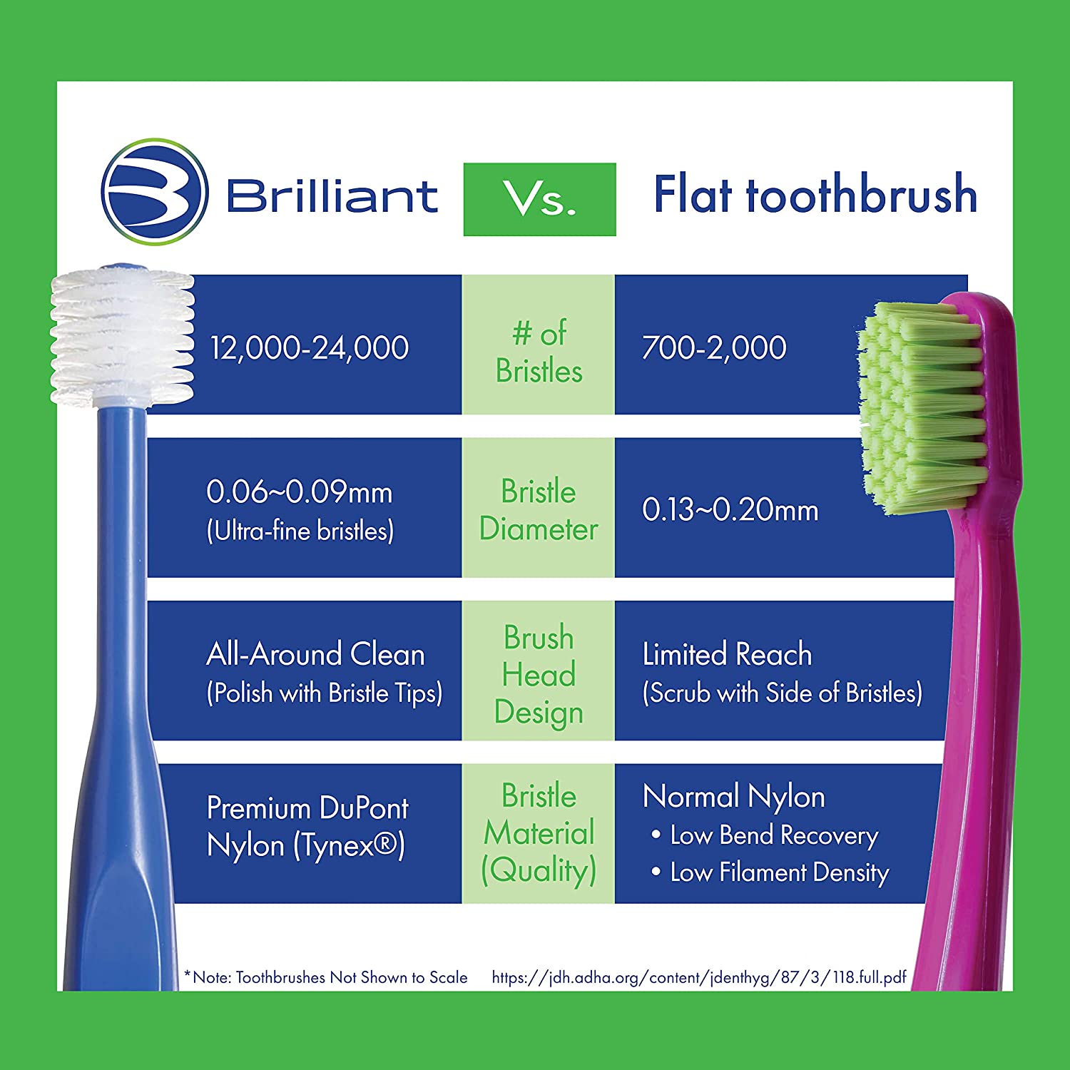 Brilliant Baby Toothbrush by Baby Buddy, Ages 4-24 Months, Round Head, Bristles Clean All-Around, 3p