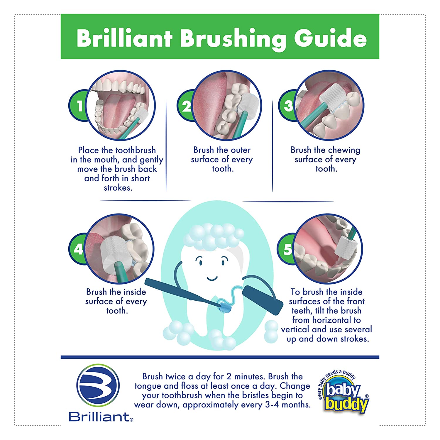 Brilliant Baby Toothbrush by Baby Buddy, Ages 4-24 Months, Round Head, Bristles Clean All-Around, 3p