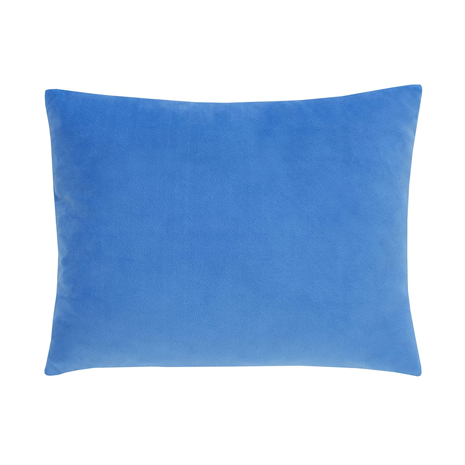Marvel The Incredible Hulk - The Big Guy - Blue and Green Hulk Smash Decorative Toddler Pillow