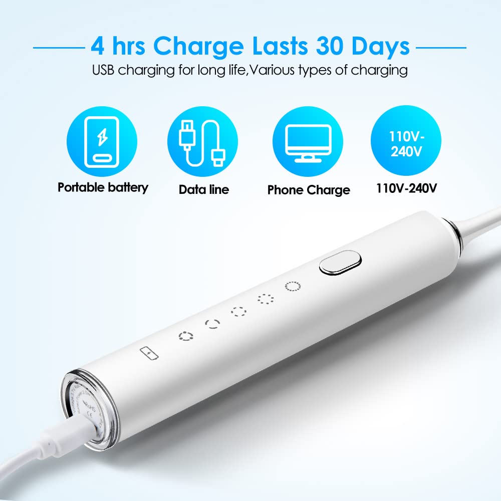 Sonic Electric Toothbrush Whitening Toothbrush Rechargeable with 4 Dupont Brush Heads, Adult Waterpr