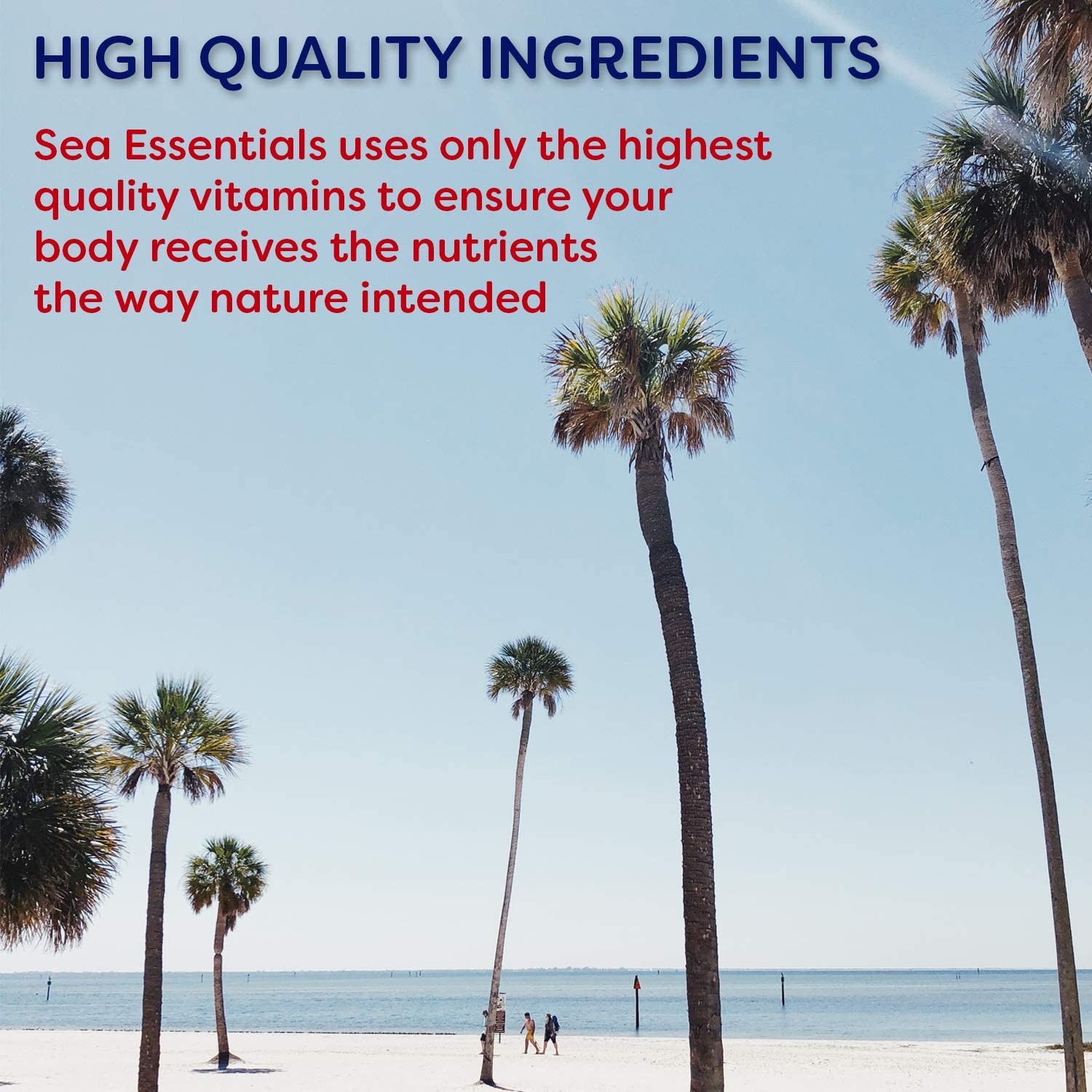 Wellgenix Sea Essentials Coral Calcium Liquid Vitamin for High Absorption - Nutritional Multivitamin