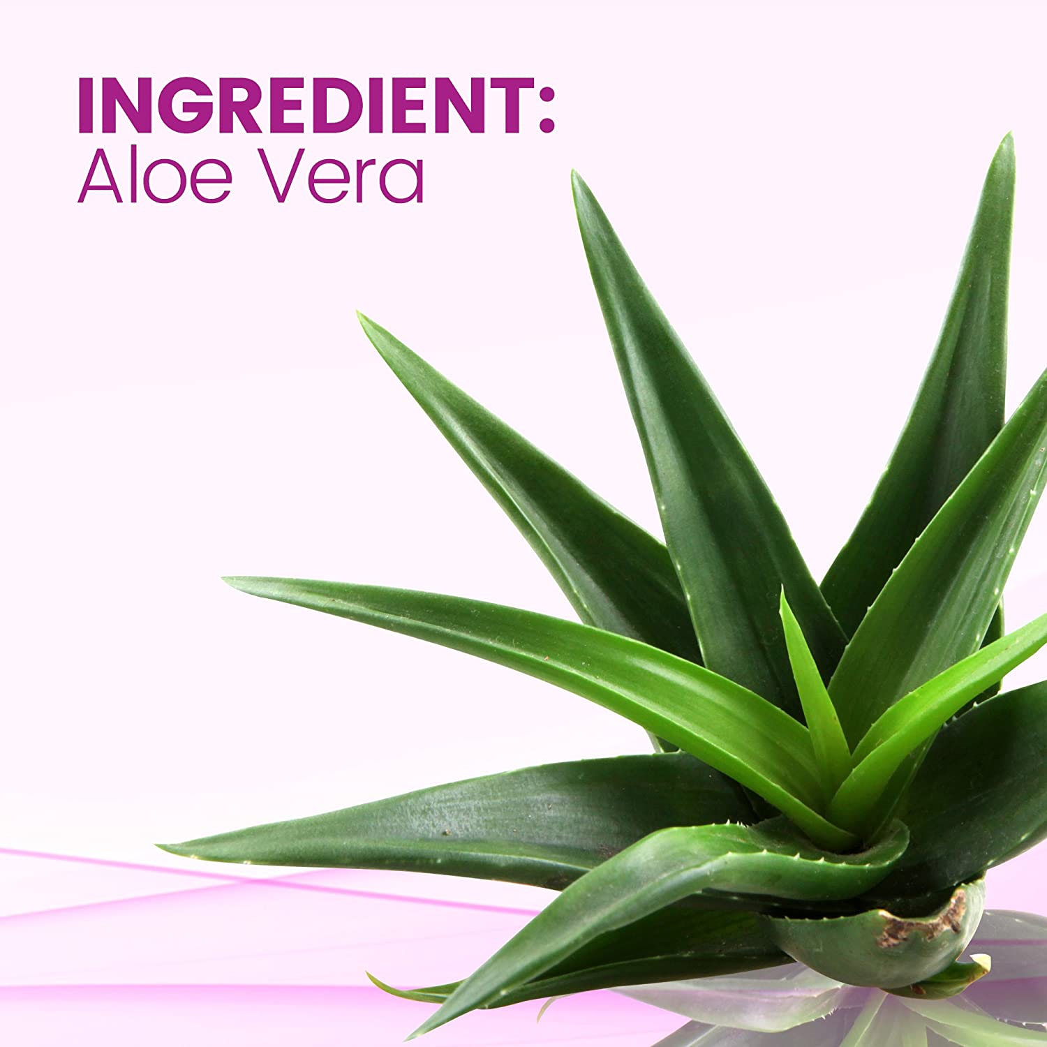 Veet Botanic Inspirations In Shower Cream, 13.5 fl Oz., for Legs & Body (Packaging May Vary)