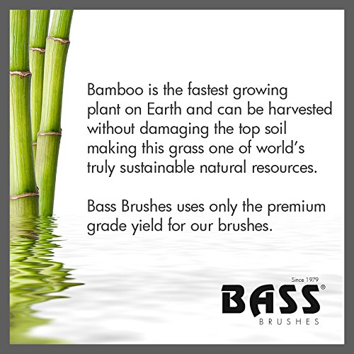 Esthetician Grade Bath & Body Brush  |   100% Natural Bristle FIRM   |  Pure Bamboo Handle   |