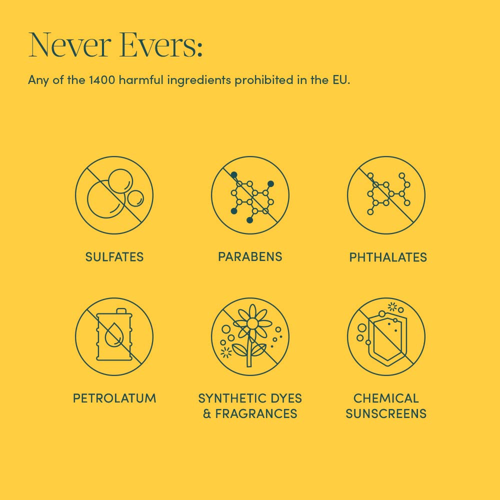 Evereden Soothing Diaper Rash Cream 3.0 oz | Clean and Unscented Diaper Care | Natural and Plant Bas