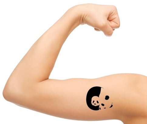 Panda Collection (Panda Temporary Tattoos)