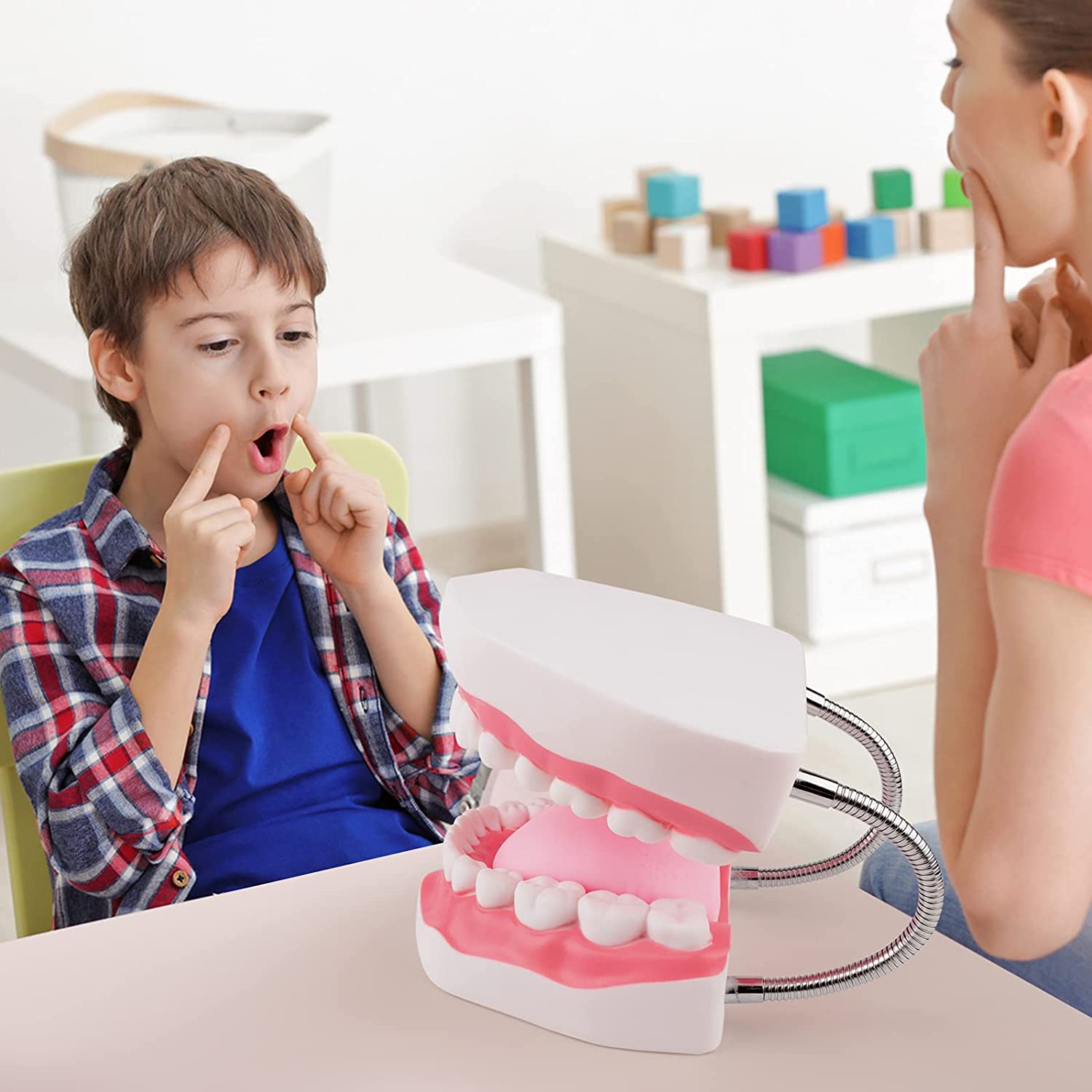 Ultrassist Magnum Dental Model, Enlarged 6 Times Standard Size, for Both Dental and Speech Language