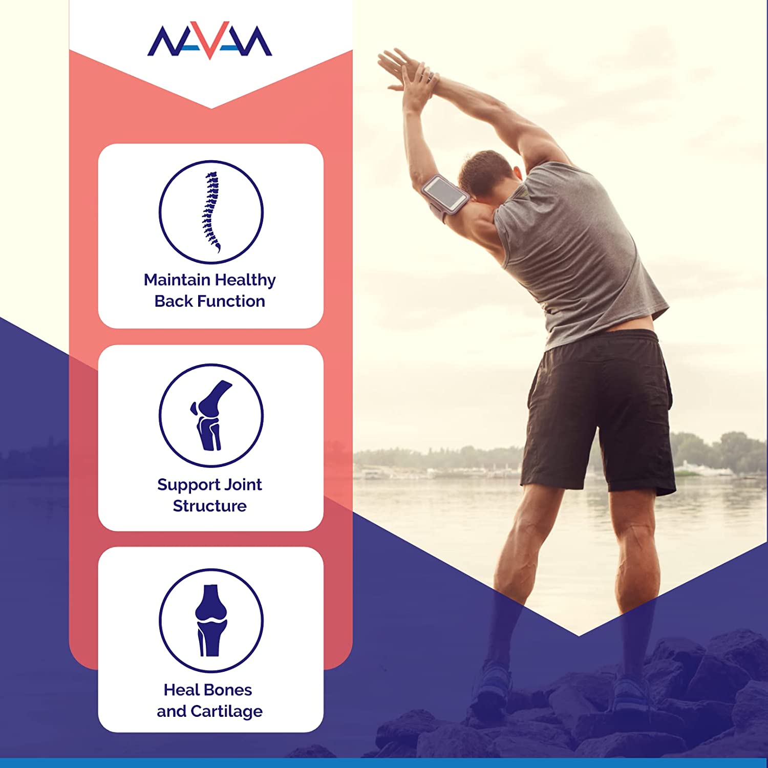 Spine and Disc: Back Pain Relief Powder Supplement with Glucosamine, Chondroitin, MSM - Help Relieve