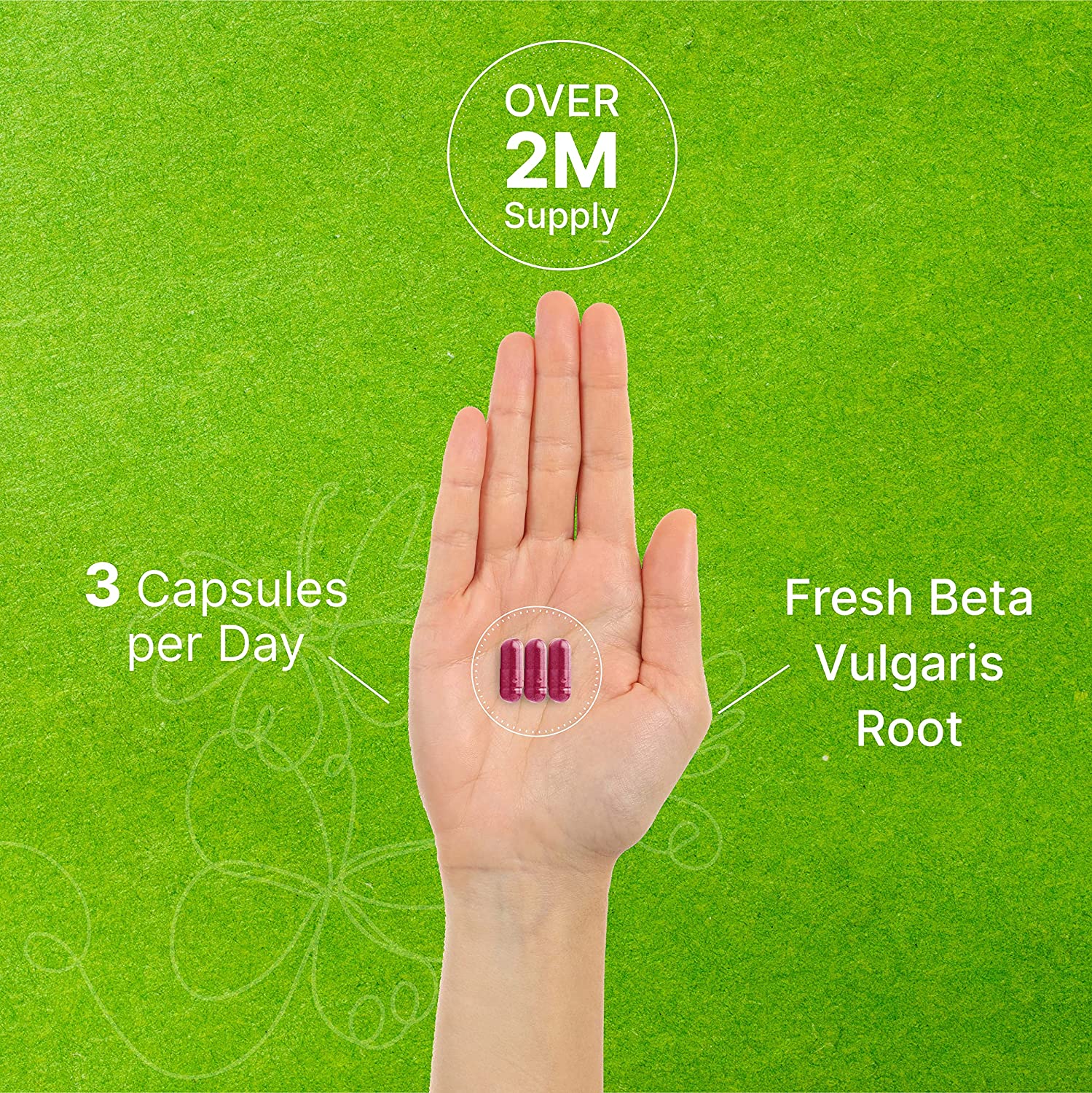 Beet Root Capsules - 1800mg Per Serving, 200 Counts, Made with Pure Beet Root Powder, Nitric Oxide B