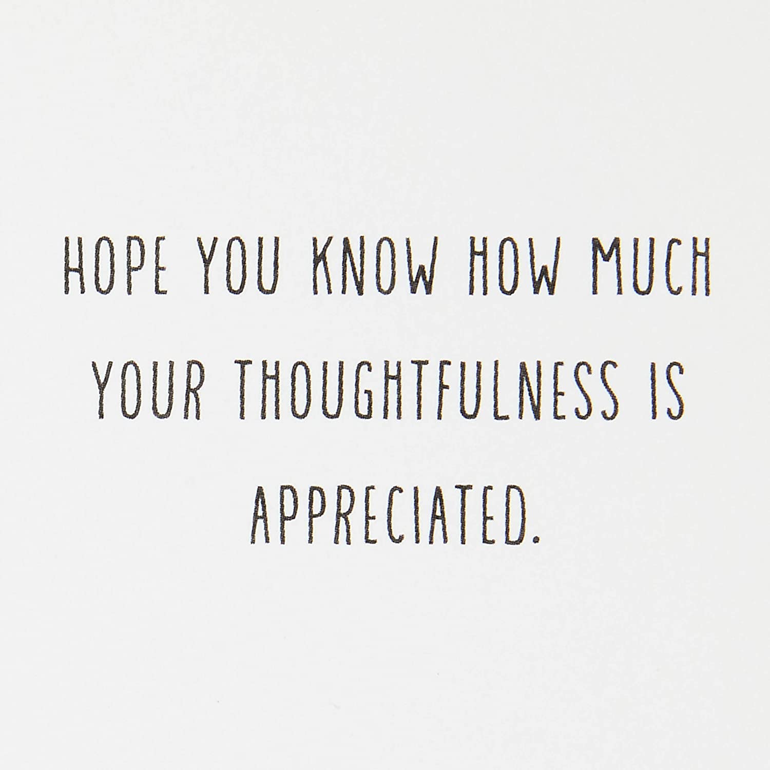 Hallmark Pack of 20 Thank You for Your Sympathy Cards, Gold Foil Greenery (Funeral Thank You Cards)