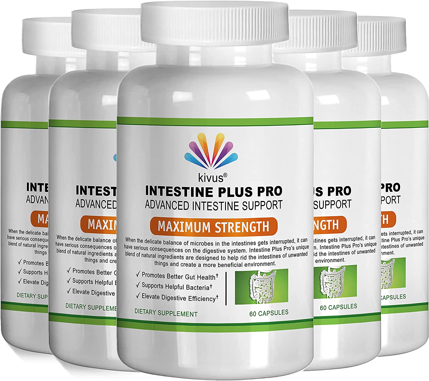 (Original) Intestine Plus Pro Intestine Support with Premium Ingredients - 5 Bottle Pack