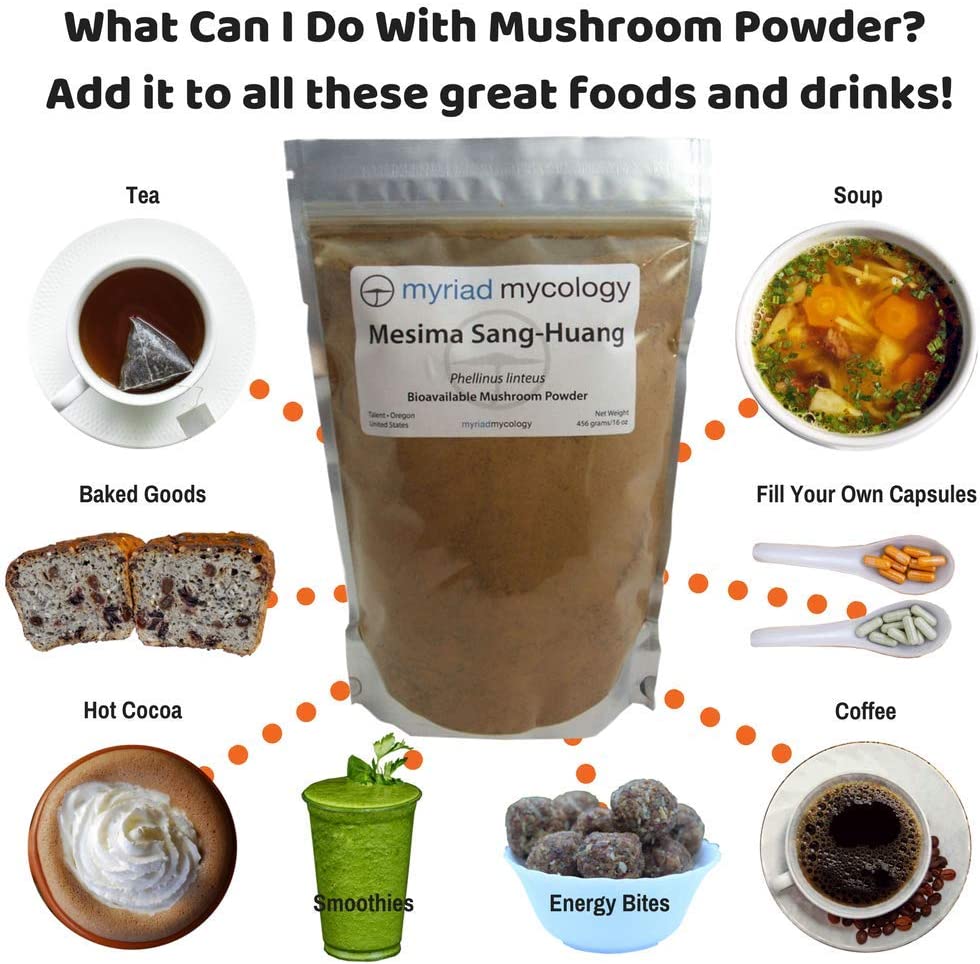 Mesima Mushroom (Sang Huang) Powder 1 lb
