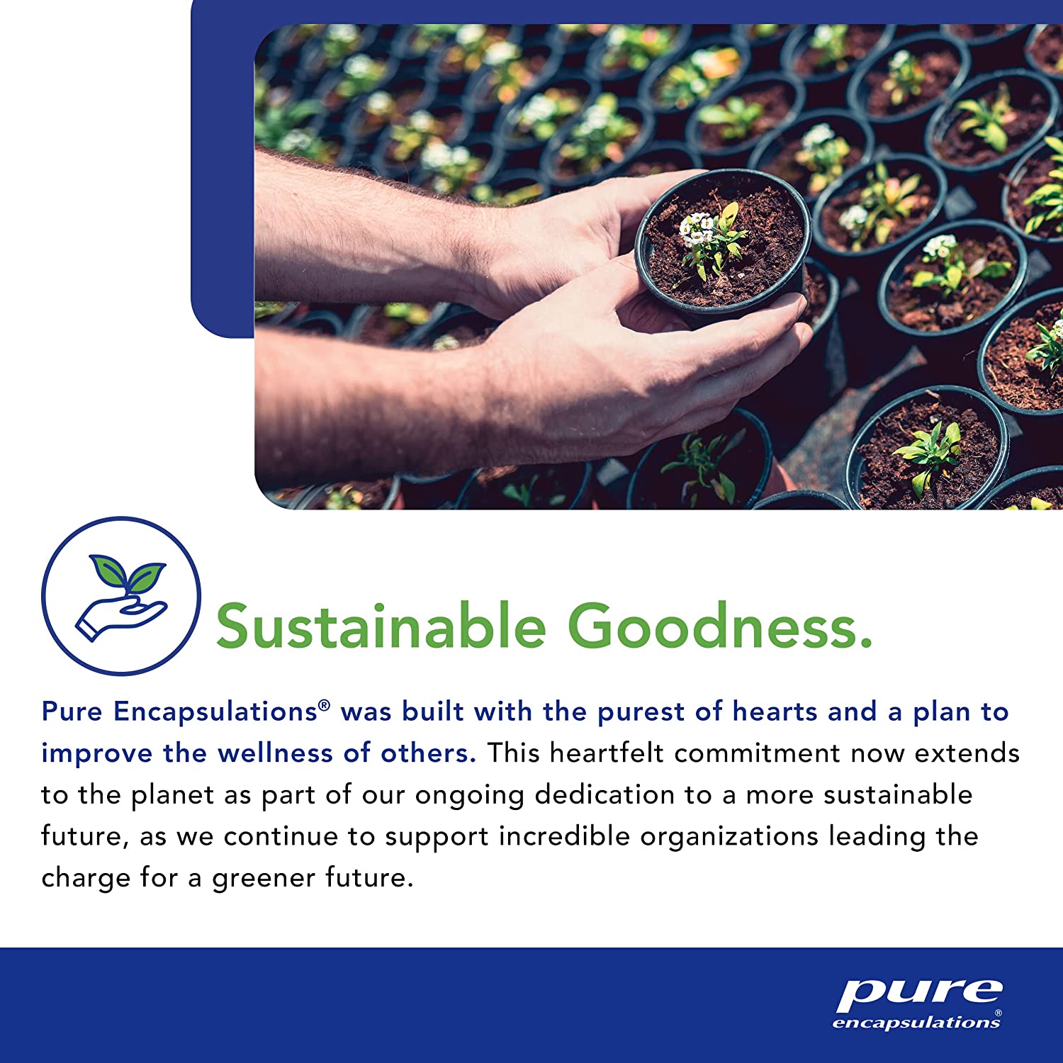 Pure Encapsulations - G.I. Integrity - Enhanced Support for Gastrointestinal Integrity and Function