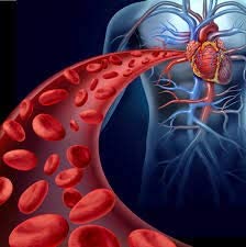 Varicose Vein Treatment - Leg Circulation Supplement - Diosmin Leg Vein Support - Circulation Vein S