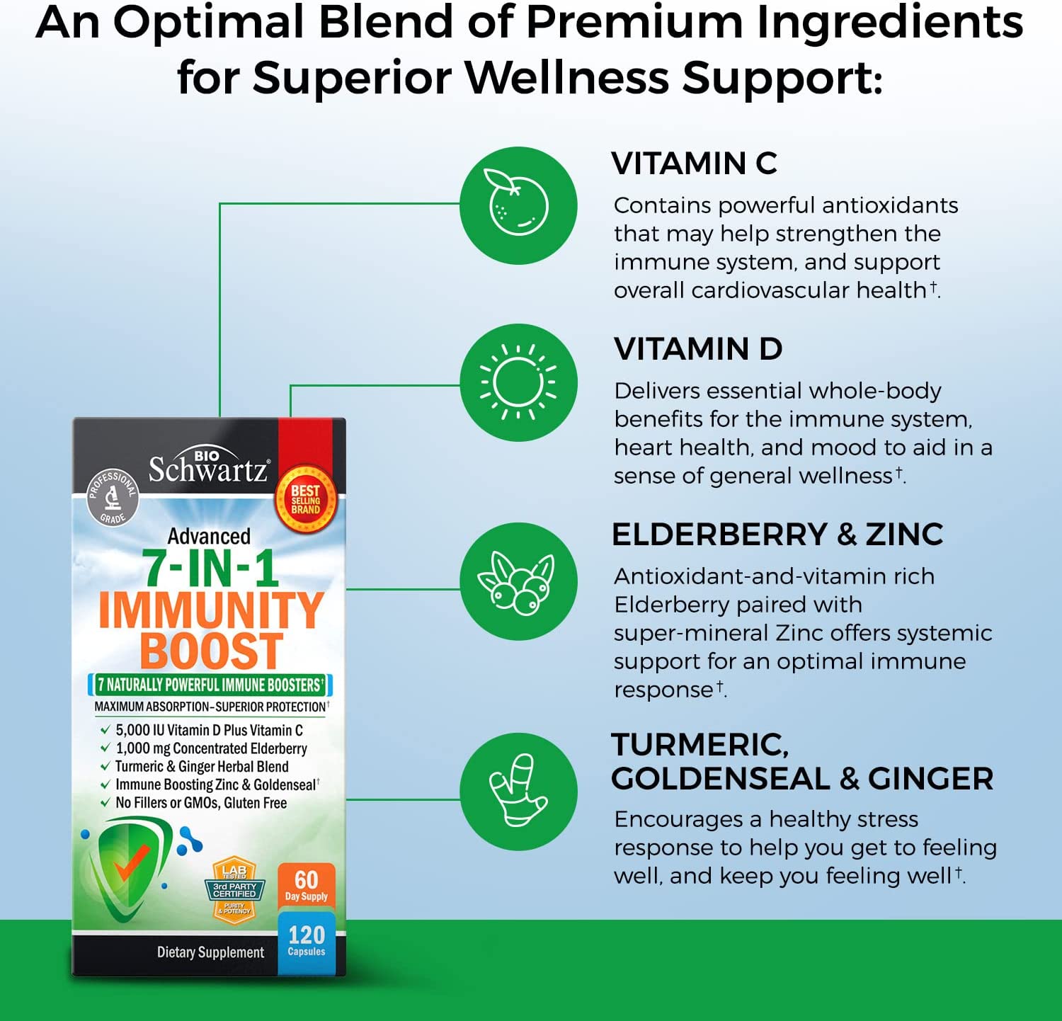 Immune Support Supplement with Zinc Vitamin C Vitamin D 5000 IU Elderberry Ginger D3 Goldenseal - Dr