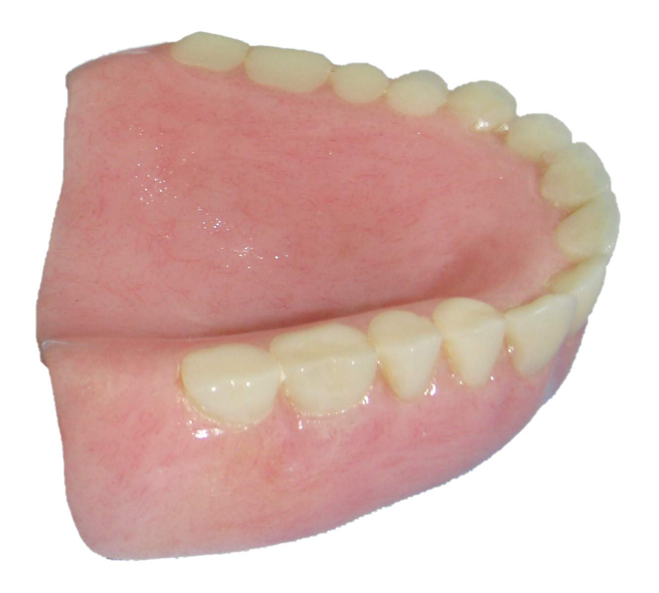 Denture Repair Lab - Professional Denture Cleaning - Denture Polishing - Denture Care Services