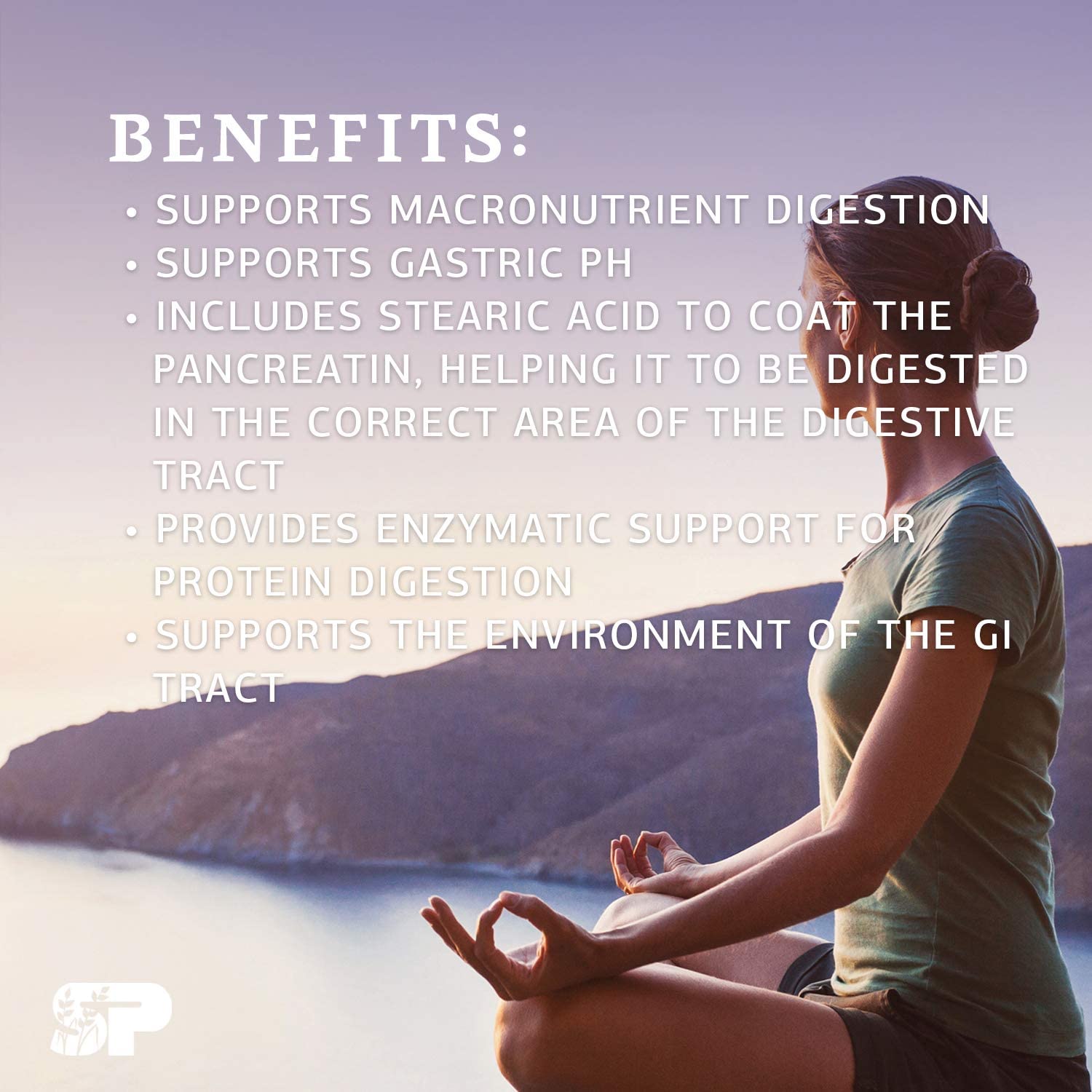 Standard Process Zypan - Whole Food Digestion and Digestive Health with Pepsin, Betaine Hydrochlorid