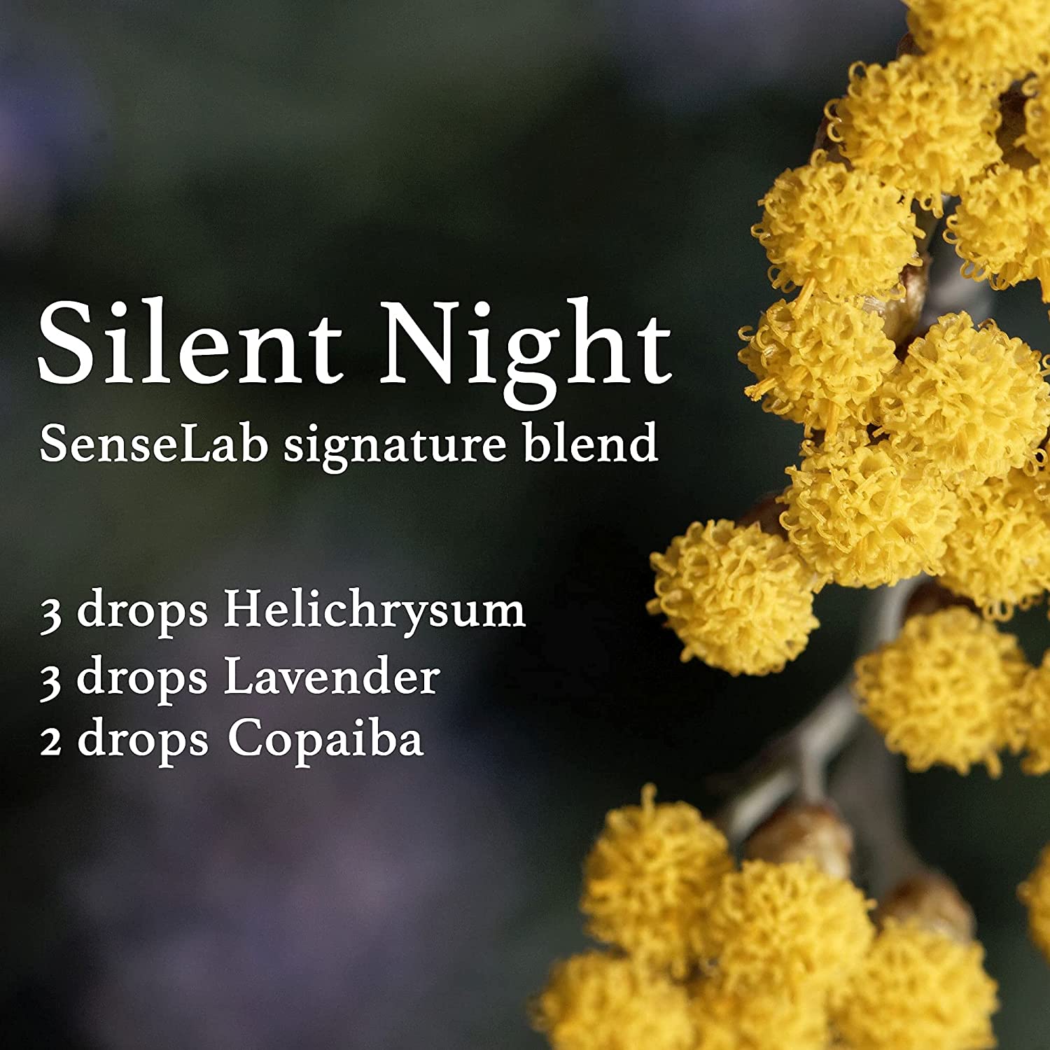 SenseLAB Helichrysum Essential Oil - 100 % Pure Extract Helichrysum Oil Therapeutic Grade - Skin Car