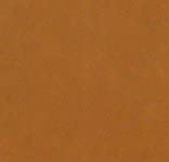 Walttools Tru Tique (Medium Brown) | Concrete Antiquing Wash Color Pigment (19 Colors) - Enhance Tex