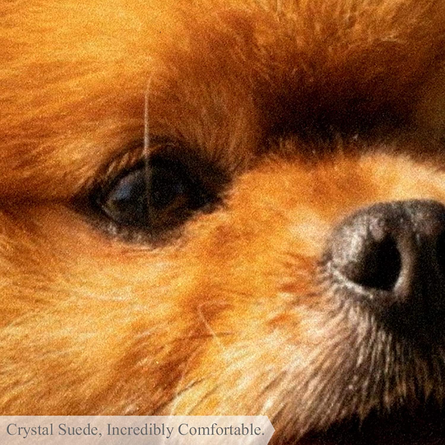 Pet Round Mat Yellow Pomeranian Feeding Mat Colorful for Pet Dogs Cats Beds 31.5x31.5in