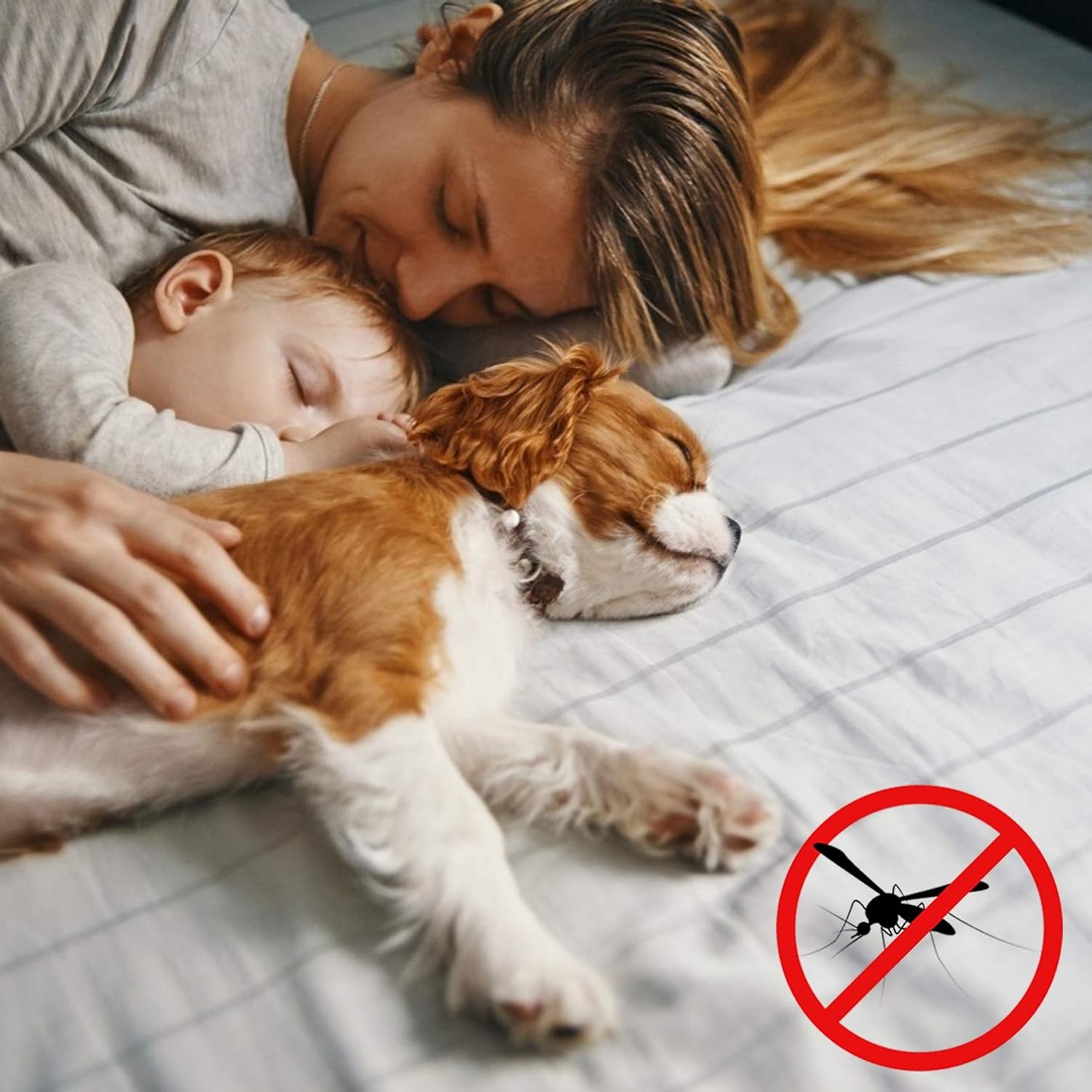 GOUER Mosquito Door Screen, 180x210cm Mosquito Bug Protection Insect Mosquito Door Screen Auto Close