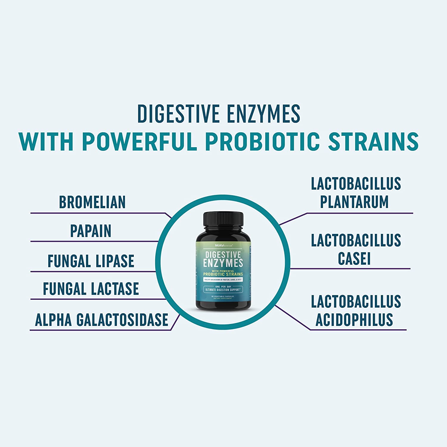 Digestive Enzymes & Probiotic Supplement | Enzymes for Digestion Aid, Bloating, IBS, Constipation an