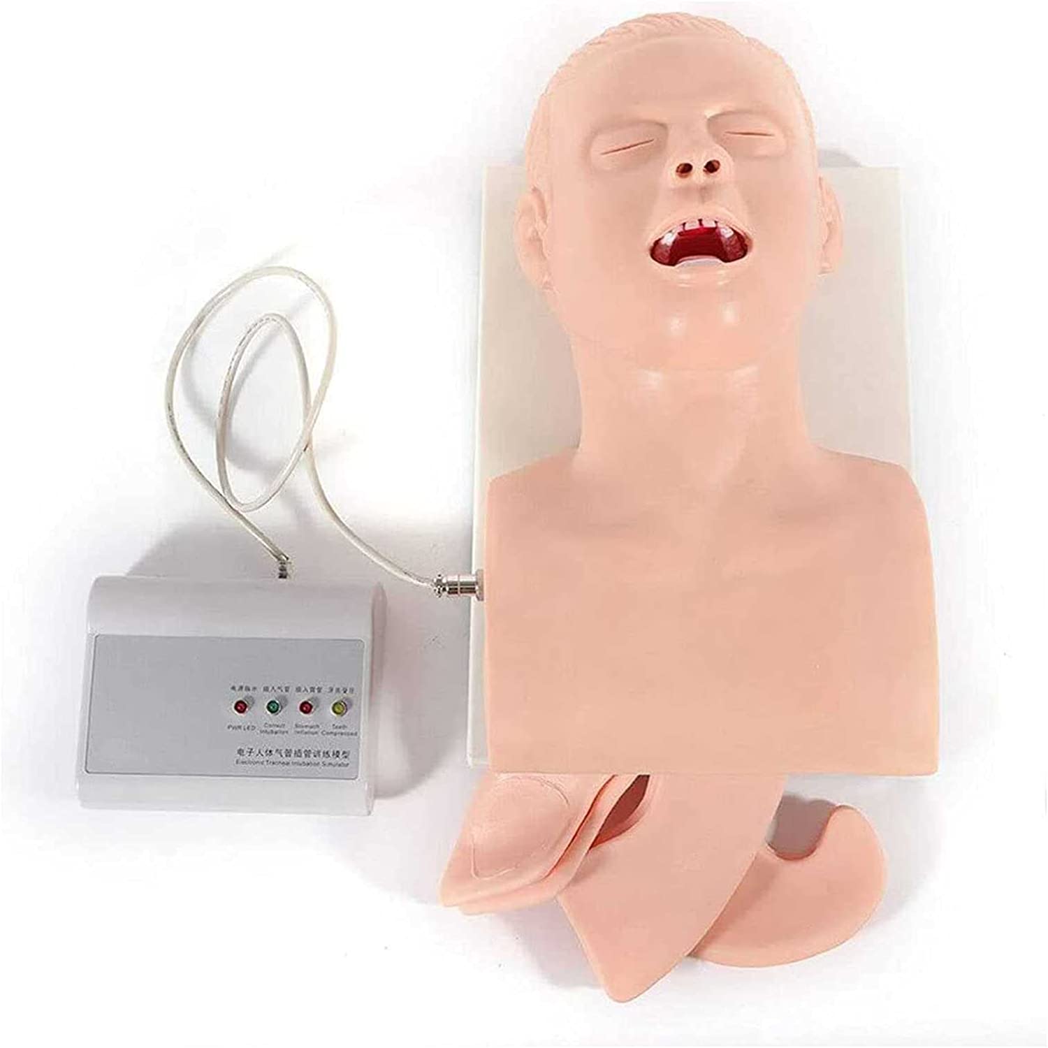 YmnFI Electronic Adult Intubation PVC Manikin Teaching Model, Teaching Model Tracheal Intubation Ope