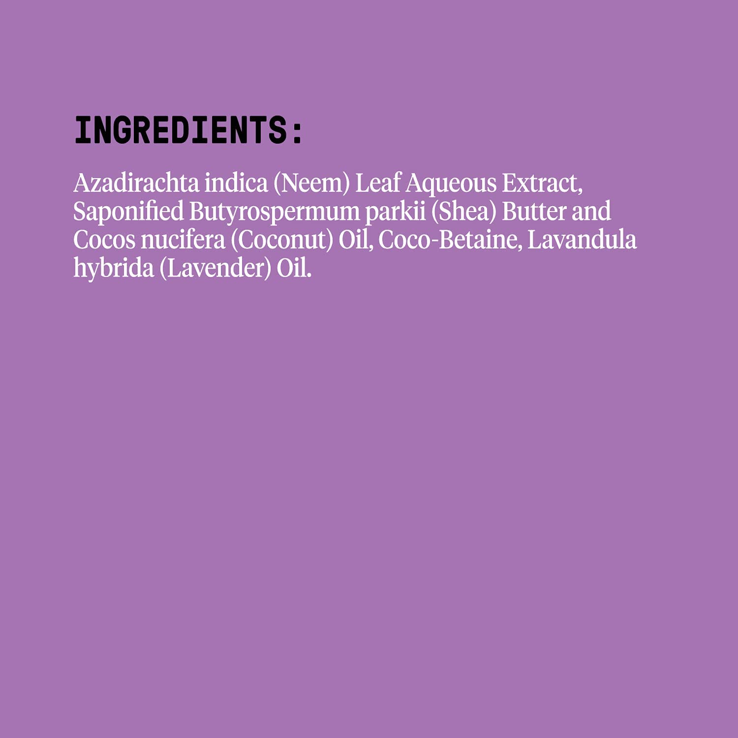 Alaffia Everyday Shea Body Wash, Lavender 32 FZ (Pack of 2)