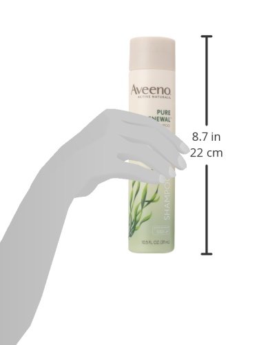 Aveeno Shampoo Pure Renewal (Sulfate-Free), 10.5 Fl Oz (Pack of 3)