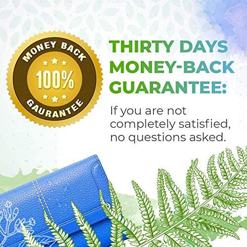 Yellow Dock A60 Alcohol Herbal Extract Tincture, Yellow Dock (Rumex Crispus) Dried Root (2 fl oz)