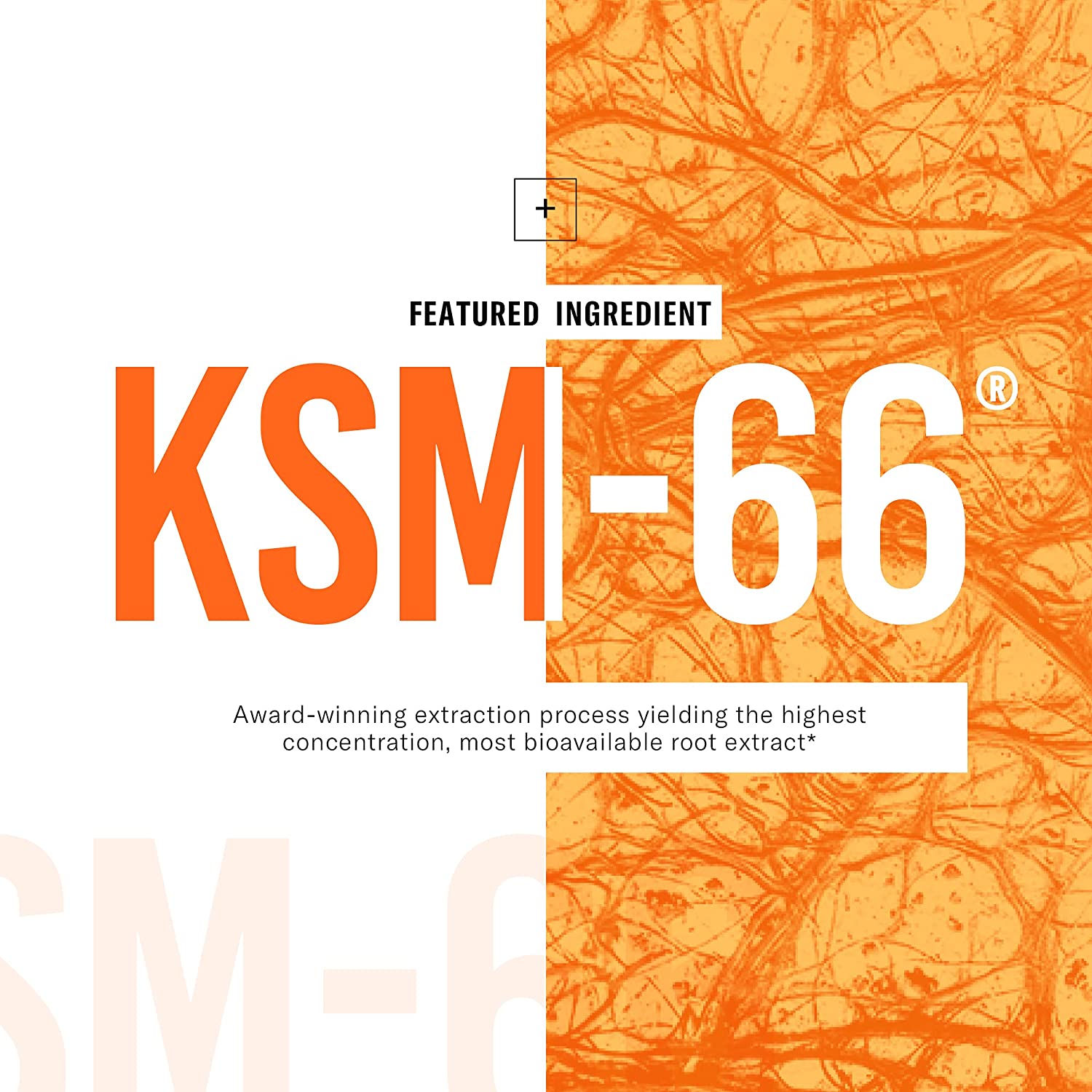 KSM-66 Ashwagandha Root Powder Extract, High Potency 5% Withanolides, 1000mg of Clinically Studied K