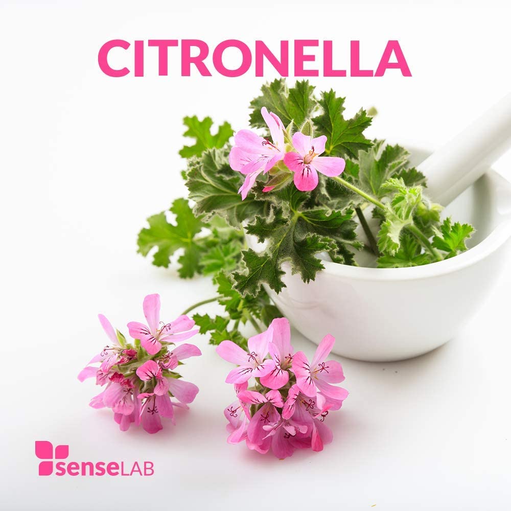 SenseLAB Citronella Essential Oil - 100 % Pure Extract Citronella Oil Therapeutic Grade - Outdoor Pr
